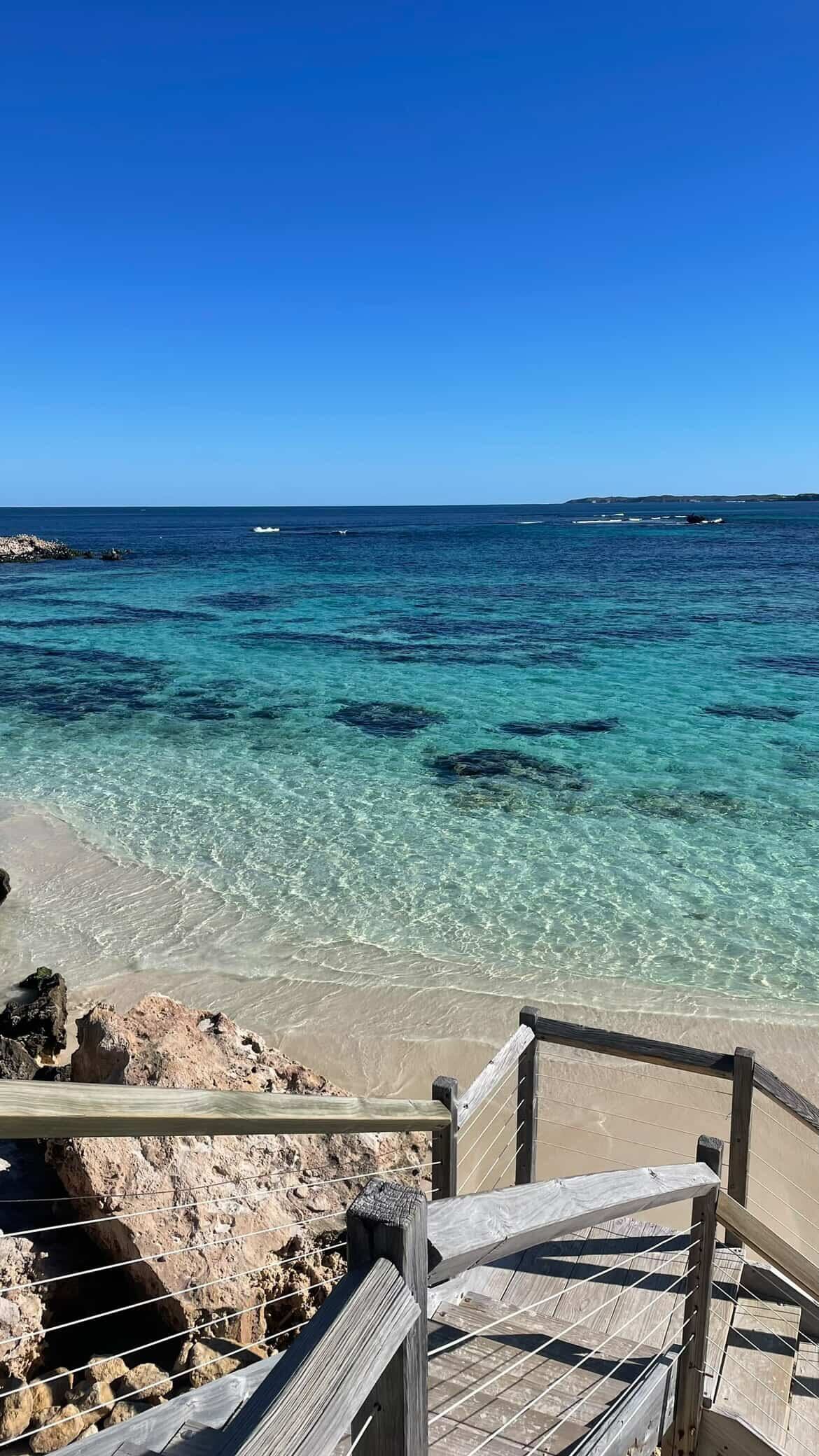 l'isola di rottnest a perth