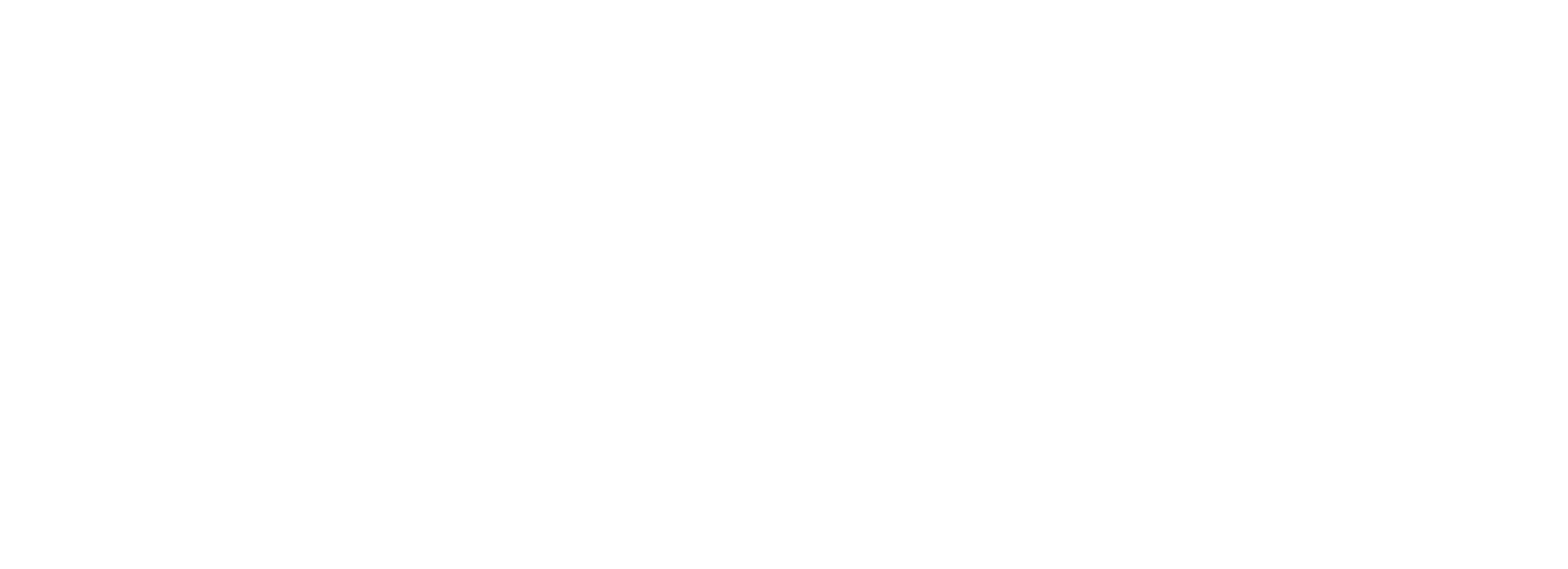 Brussels-airport-logo-white