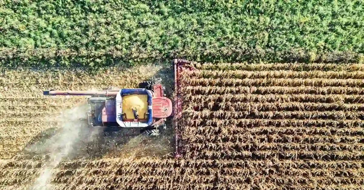 Agriculture