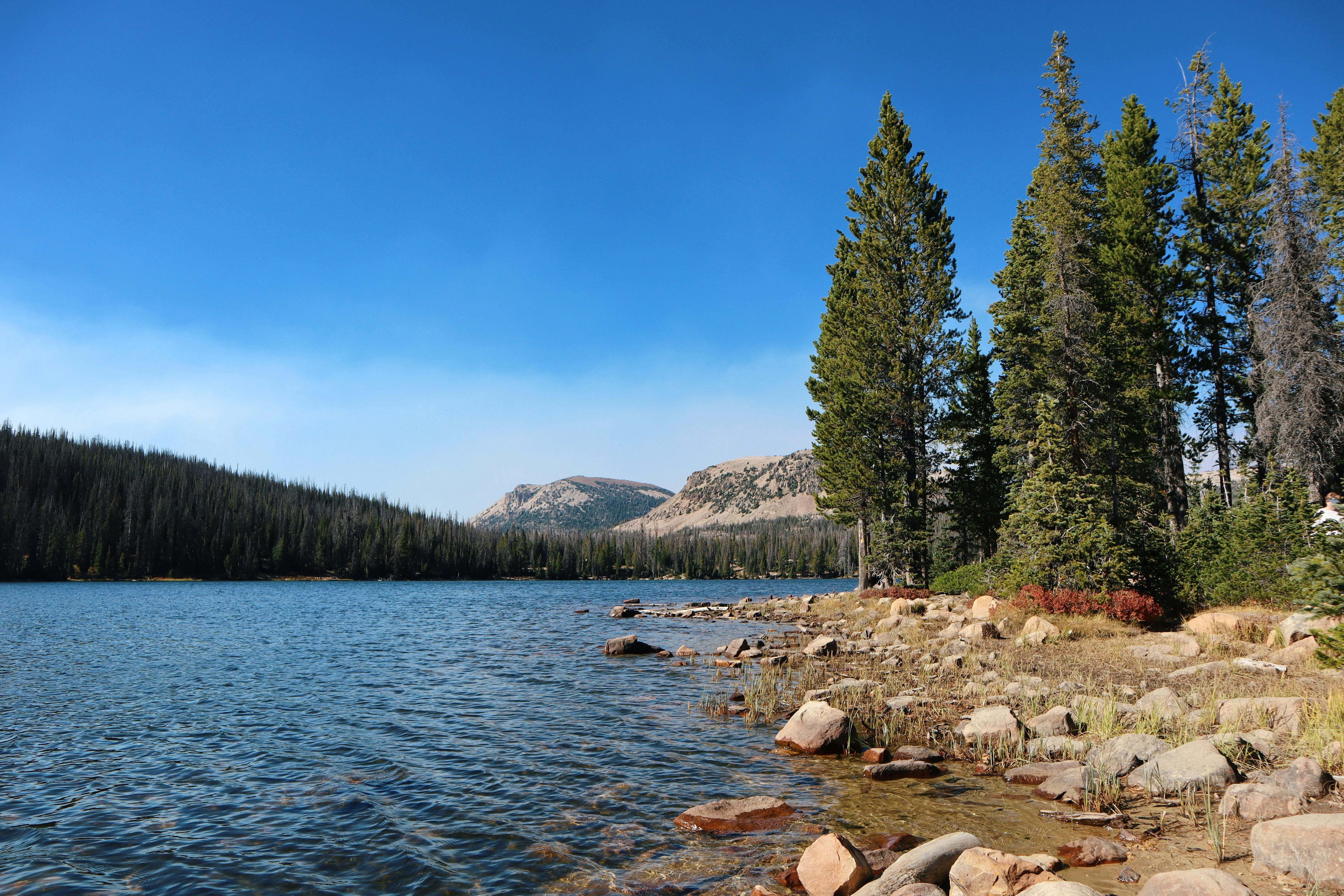lake and woods in utah county