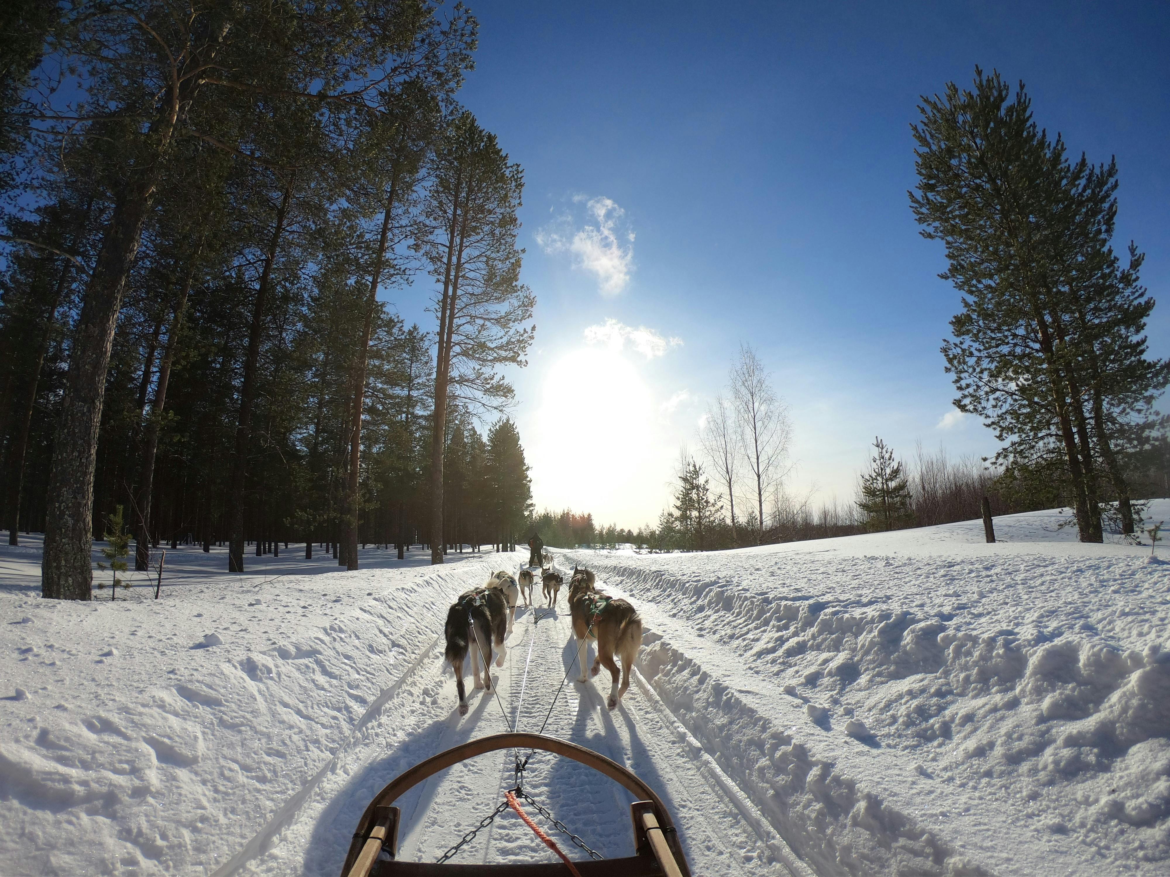 lapland travel guide