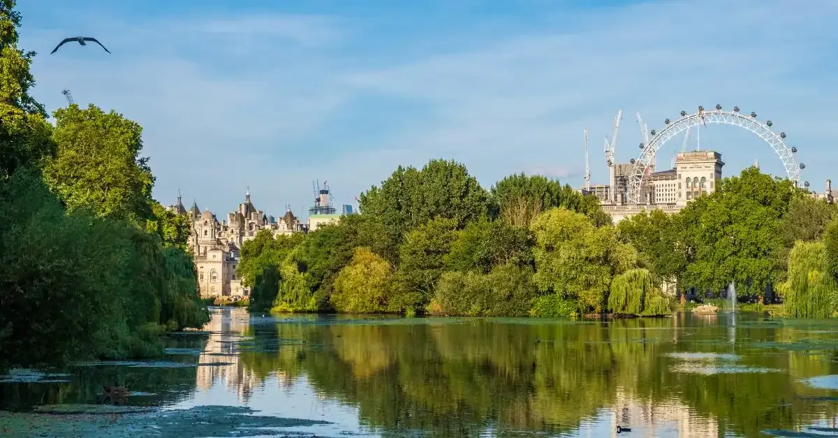 Summer in London