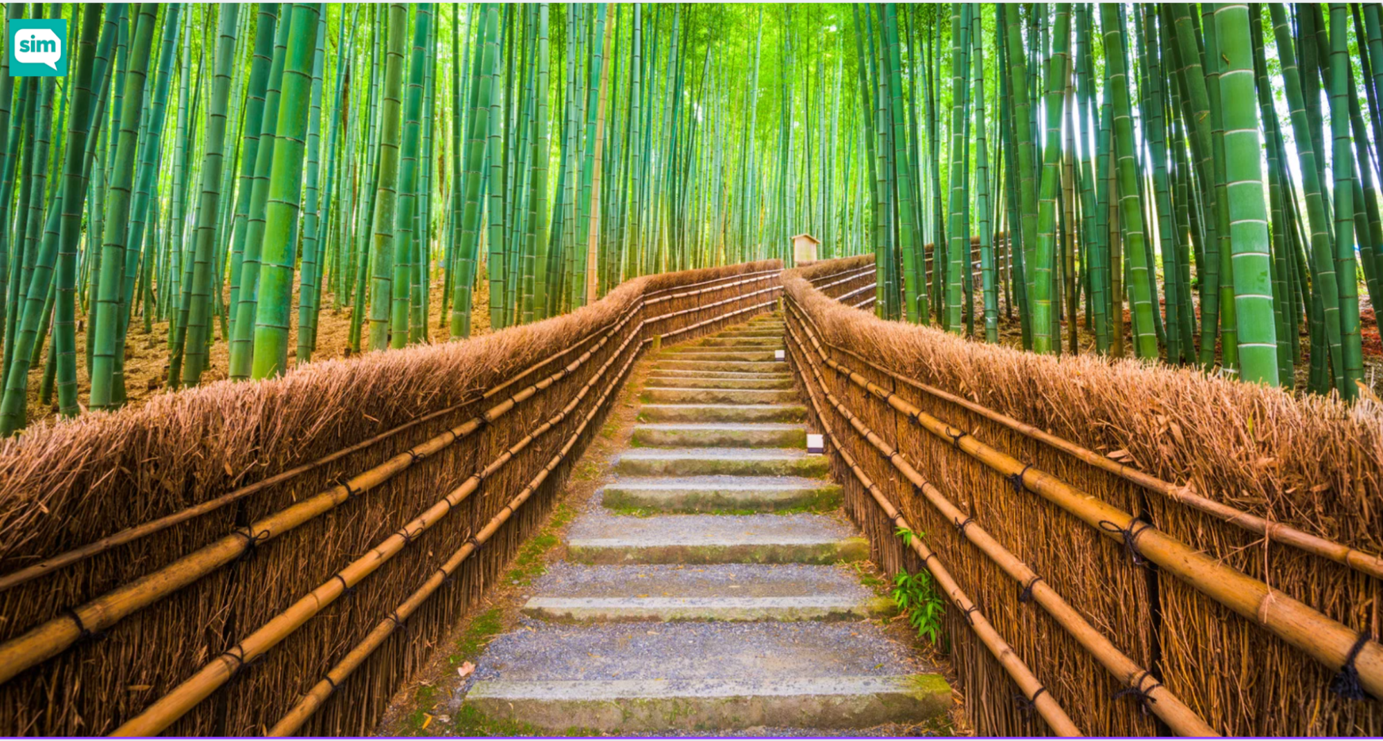 viaggio a Kyoto