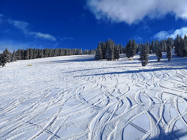 station de ski de vail colorado
